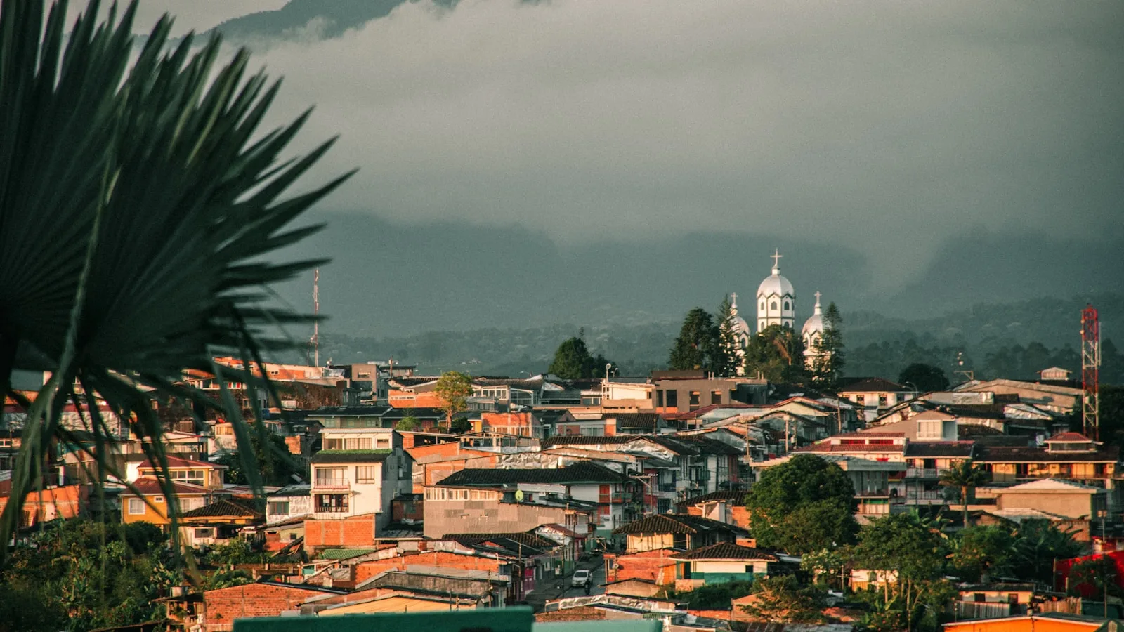 ️ La zona cafetera : où aller ?
