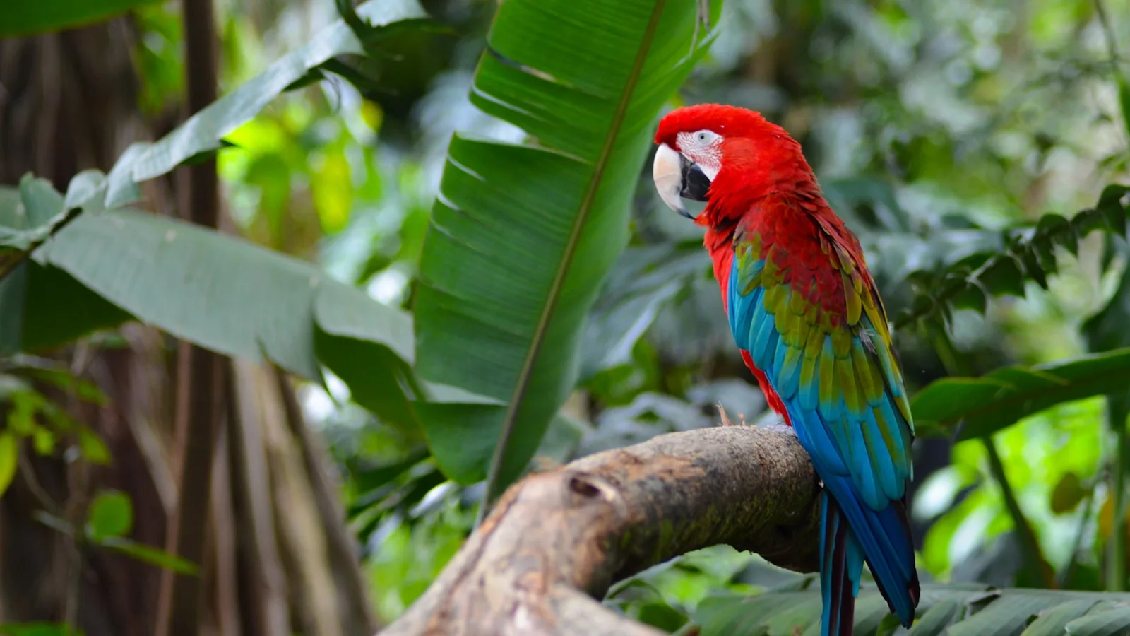 Le Zoo de Cali — Un des meilleurs d'Amérique latine