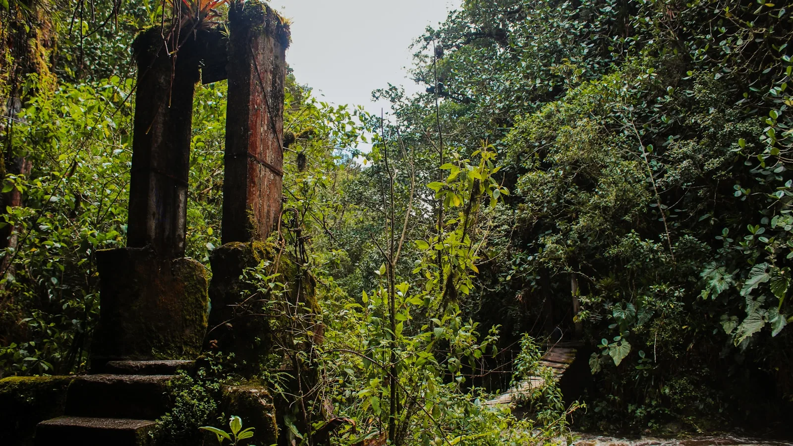 ️ Qu'est-ce que la Ciudad Perdida ?