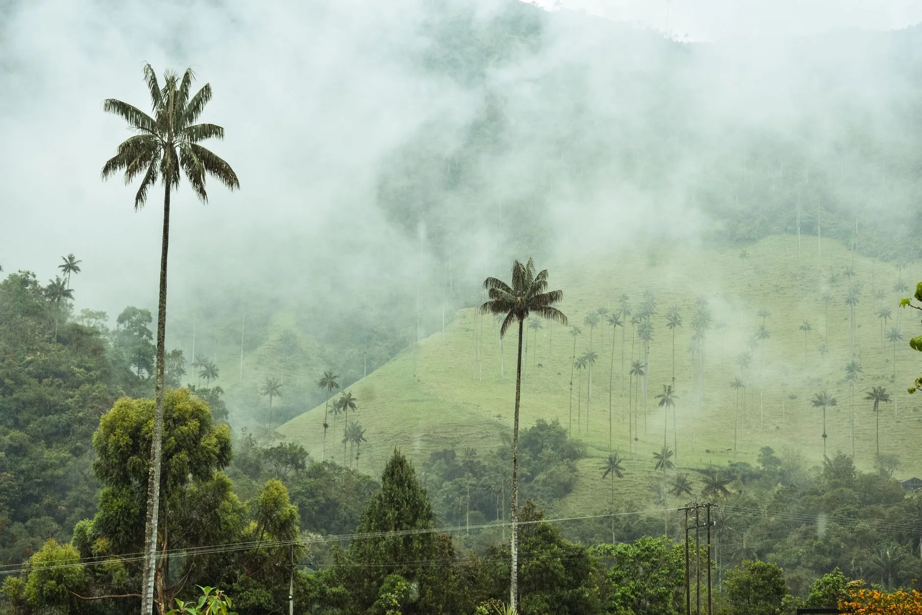 Jours 6-7 : Salento et la vallée de Cocora