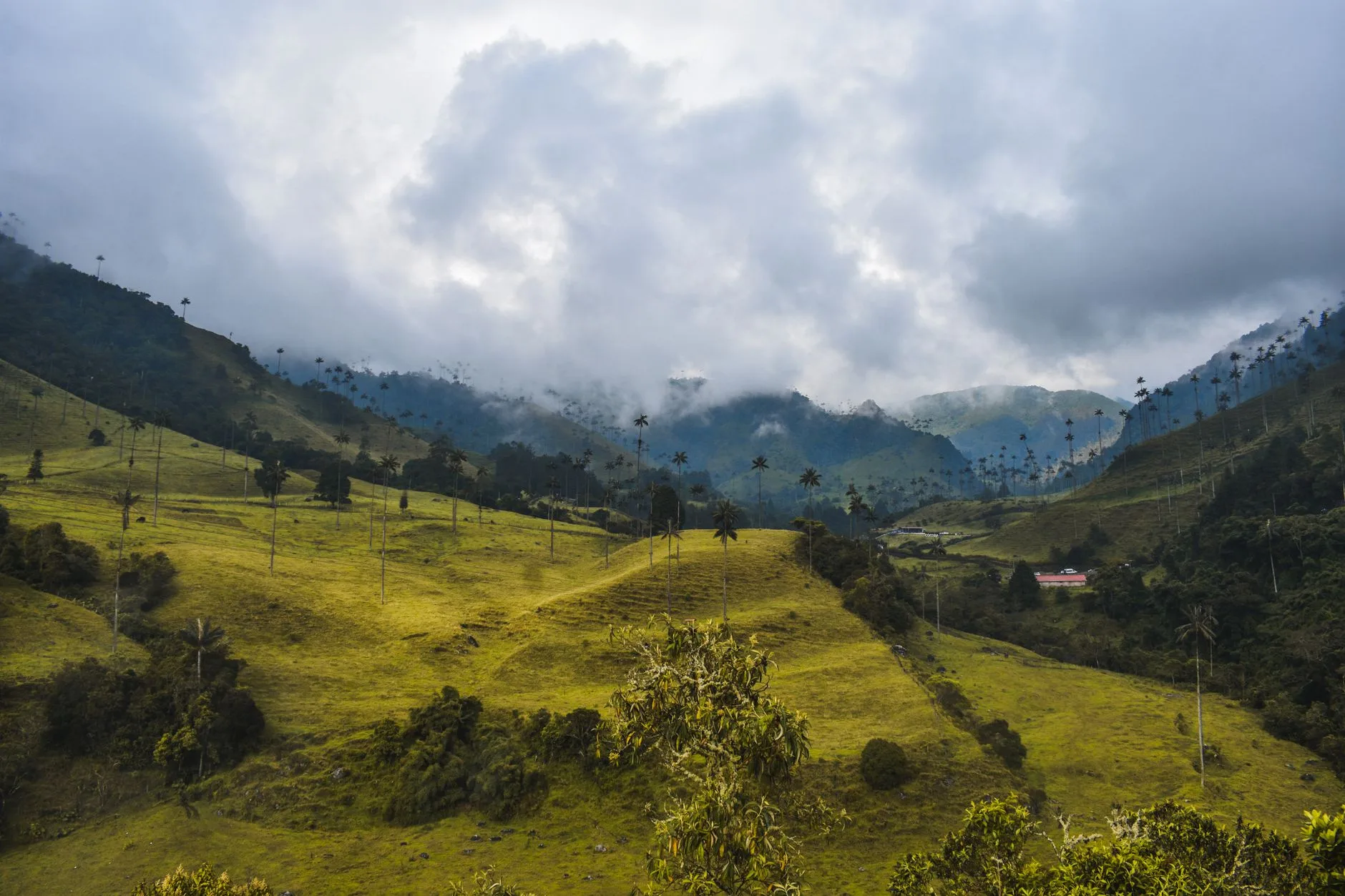Voyageur dans un bus colombien face aux montagnes des Andes