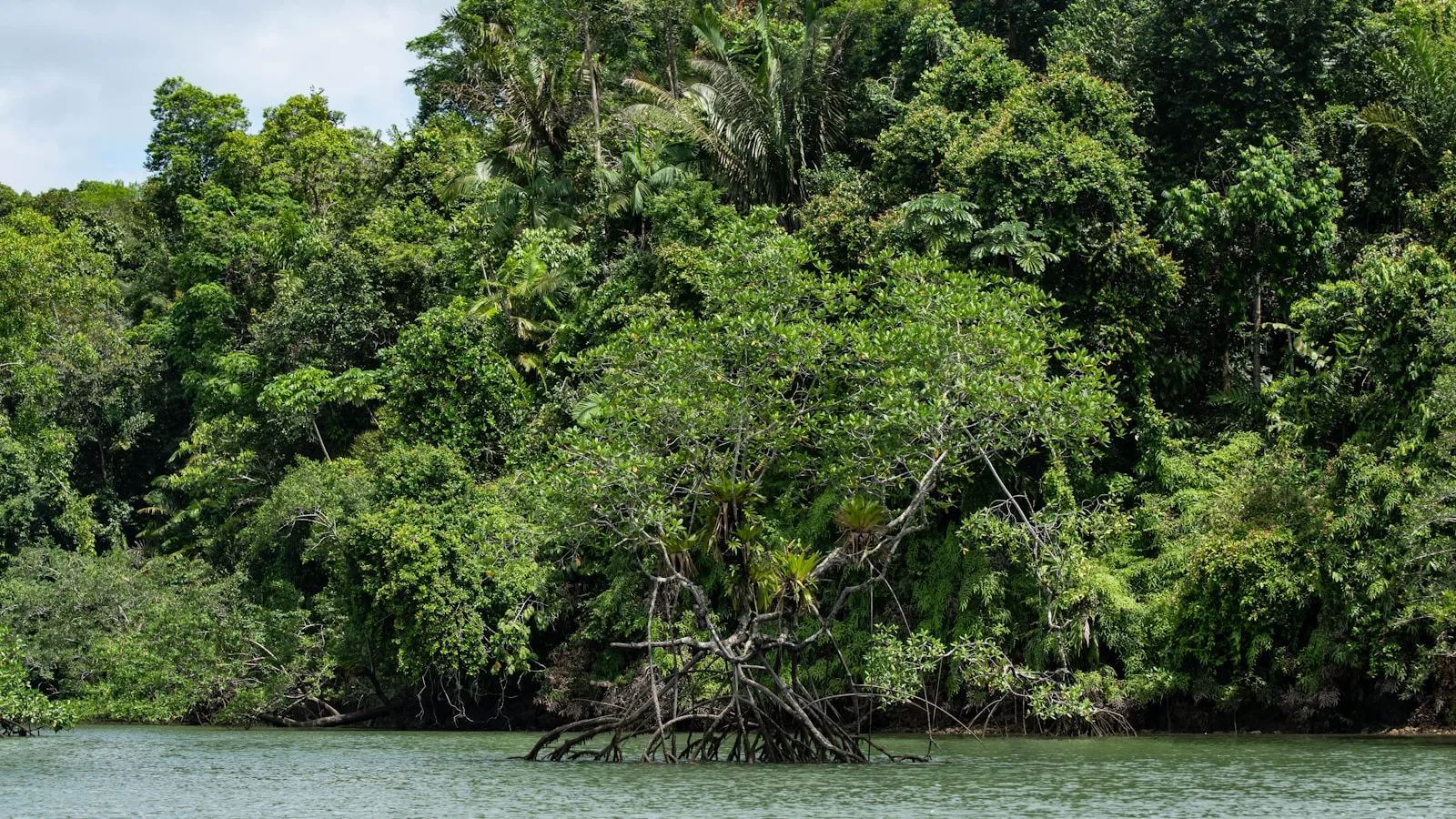 Le Parc National Naturel Utría