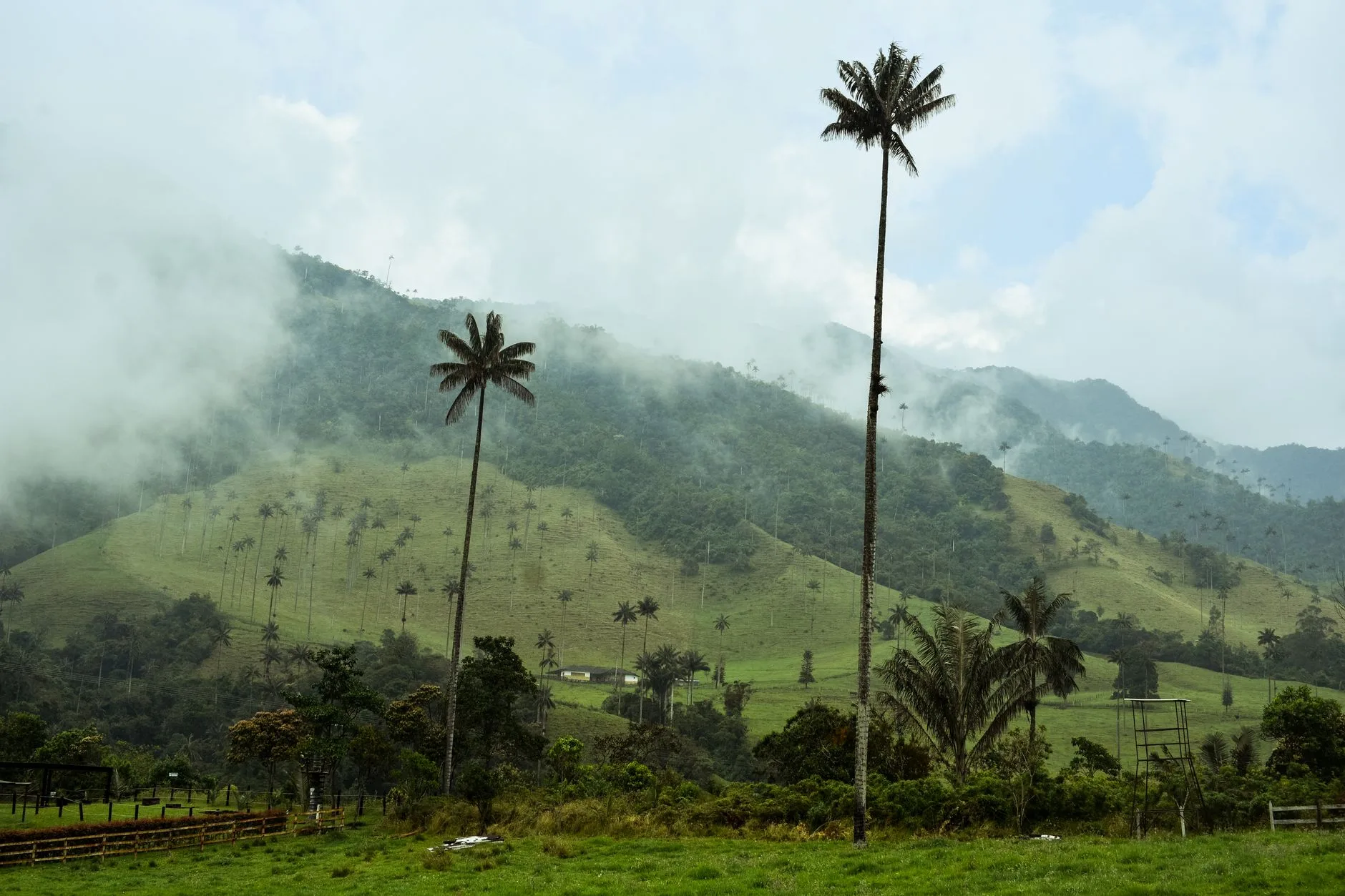 ️ Hébergements au Valle de Cocora