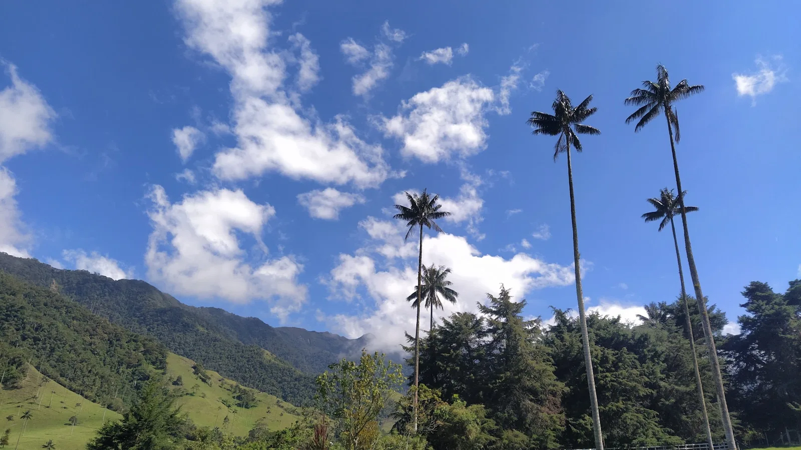 Les 8 meilleures randonnées de Colombie