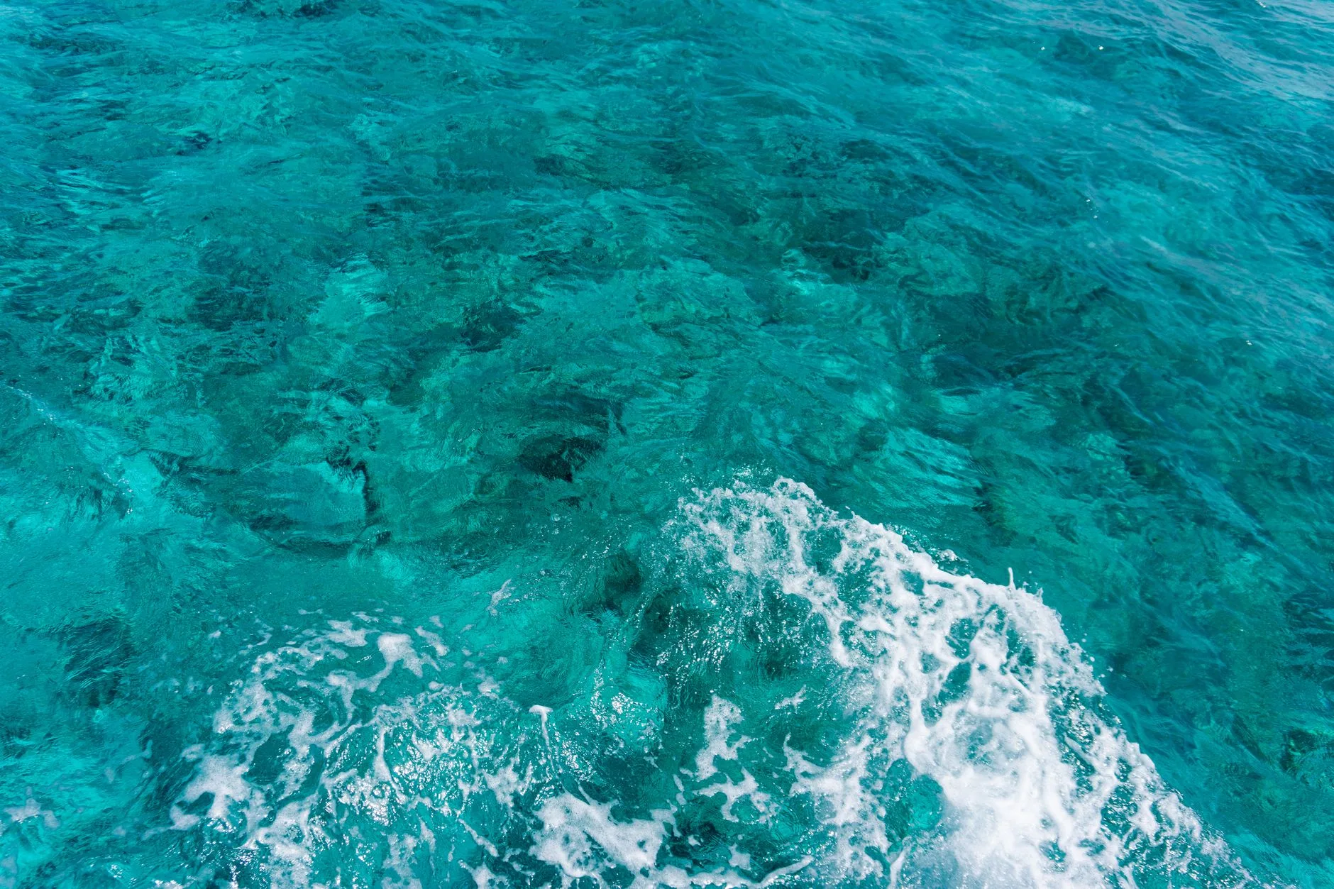 Islas del Rosario et Playa Blanca — L'excursion mer depuis Cartagena