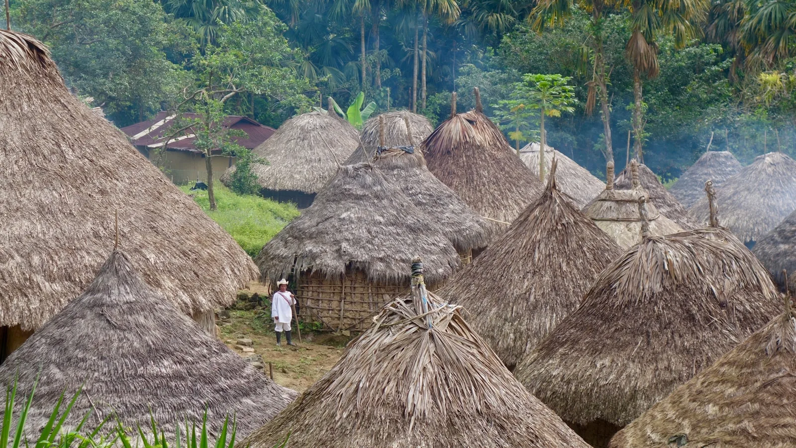 ️ 2. La Ciudad Perdida : la cité sacrée des Tayrona