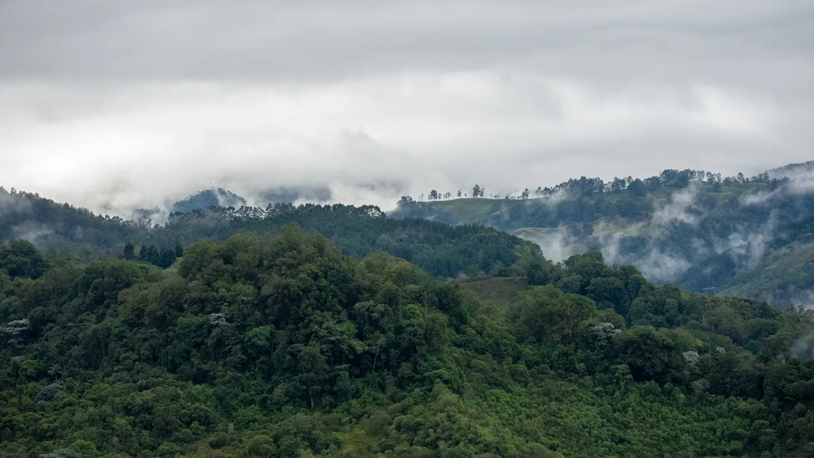 Minca — La montagne fraîche à 45 minutes